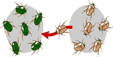 3 Đề thi Giữa kì 2 Sinh học 12 Kết nối tri thức (cấu trúc mới, có đáp án)