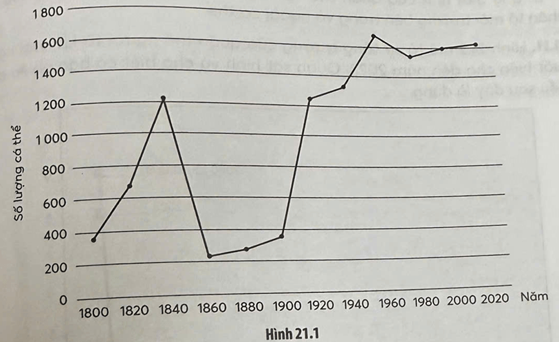 3 Đề thi Giữa kì 2 Sinh học 12 Kết nối tri thức (cấu trúc mới, có đáp án)