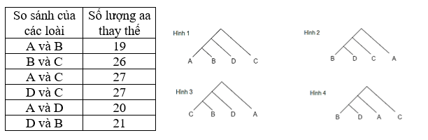 3 Đề thi Giữa kì 2 Sinh học 12 Kết nối tri thức (cấu trúc mới, có đáp án)