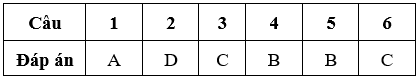 Bài tập cuối tuần Toán lớp 5 Tuần 10 (cả ba sách) | Đề kiểm tra cuối tuần Toán lớp 5