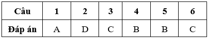 Bài tập cuối tuần Toán lớp 5 Tuần 10 có đáp án (Đề 1) | Đề kiểm tra cuối tuần Toán 5 có đáp án