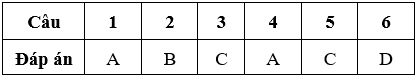 Bài tập cuối tuần Toán lớp 5 Tuần 11 có đáp án (Đề 3) | Đề kiểm tra cuối tuần Toán 5 có đáp án