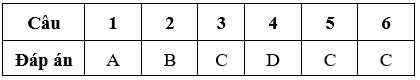 Bài tập cuối tuần Toán lớp 5 Tuần 16 (cả ba sách) | Đề kiểm tra cuối tuần Toán lớp 5