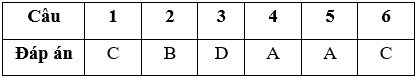 Bài tập cuối tuần Toán lớp 5 Tuần 8 có đáp án (Đề 2) | Đề kiểm tra cuối tuần Toán 5 có đáp án