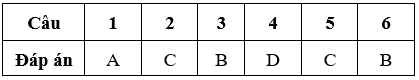 Bài tập cuối tuần Toán lớp 5 Tuần 9 có đáp án (Đề 2) | Đề kiểm tra cuối tuần Toán 5 có đáp án