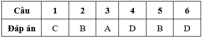 Bài tập cuối tuần Toán lớp 5 Tuần 9 có đáp án (Đề 3) | Đề kiểm tra cuối tuần Toán 5 có đáp án