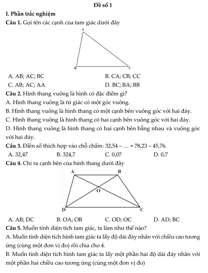 20+ Đề thi Toán lớp 5 Học kì 1 Chân trời sáng tạo 2025 (tải nhiều)
