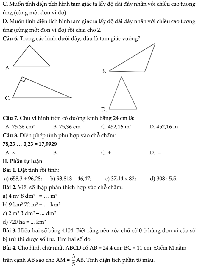 20+ Đề thi Toán lớp 5 Học kì 1 Chân trời sáng tạo 2025 (tải nhiều)
