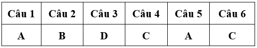 Bài tập cuối tuần Toán lớp 4 Tuần 11 (cả ba sách) | Đề kiểm tra cuối tuần Toán lớp 4