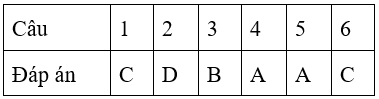 Bài tập cuối tuần Toán lớp 4 Tuần 17 (cả ba sách) | Đề kiểm tra cuối tuần Toán lớp 4