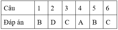 Bài tập cuối tuần Toán lớp 4 Tuần 22 (cả ba sách) | Đề kiểm tra cuối tuần Toán lớp 4