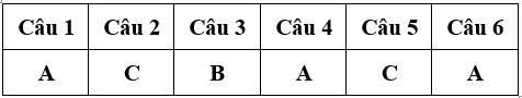 Bài tập cuối tuần Toán lớp 4 Tuần 23 (cả ba sách) | Đề kiểm tra cuối tuần Toán lớp 4