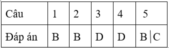 Bài tập cuối tuần Toán lớp 4 Tuần 28 (cả ba sách) | Đề kiểm tra cuối tuần Toán lớp 4