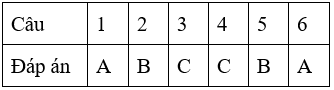 Bài tập cuối tuần Toán lớp 4 Tuần 29 (cả ba sách) | Đề kiểm tra cuối tuần Toán lớp 4