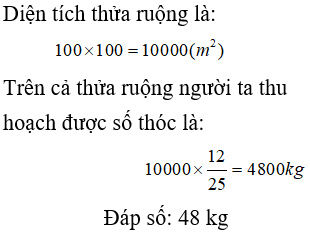 Bài tập cuối tuần Toán lớp 4 Tuần 34 (cả ba sách) | Đề kiểm tra cuối tuần Toán lớp 4