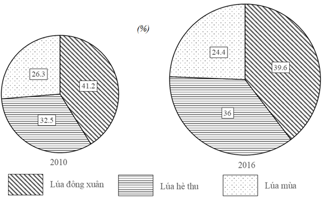 Bài tập vẽ biểu đồ tròn Địa Lí có giải chi tiết