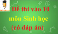 Đề thi vào lớp 10 môn Sinh học có đáp án | Đề ôn thi vào lớp 10 môn Sinh học có đáp án