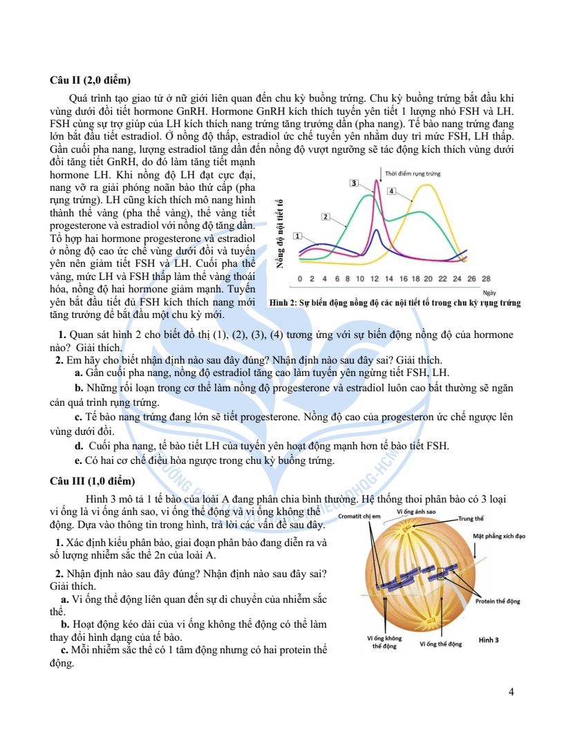 Đề minh họa Chuyên Sinh học vào lớp 10 trường Phổ thông Năng khiếu 2026