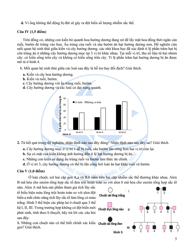 Đề minh họa Chuyên Sinh học vào lớp 10 trường Phổ thông Năng khiếu 2026