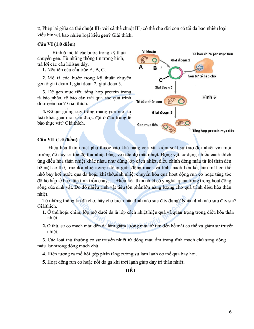 Đề minh họa Chuyên Sinh học vào lớp 10 trường Phổ thông Năng khiếu 2026
