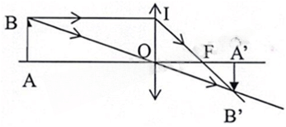 Đề minh họa Khoa học tự nhiên vào lớp 10 Hải Phòng năm 2025 (có đáp án)