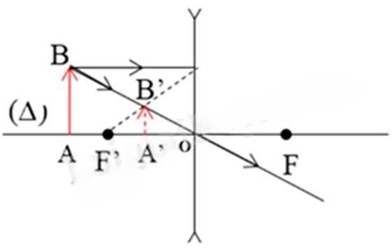 Đề minh họa Khoa học tự nhiên vào lớp 10 Hải Phòng năm 2025 (có đáp án)