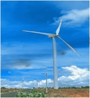 Đề minh họa Khoa học tự nhiên vào lớp 10 Ninh Bình năm 2025 (có đáp án)