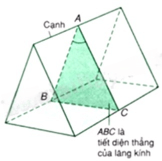 Đề minh họa Khoa học tự nhiên vào lớp 10 Ninh Bình năm 2025 (có đáp án)