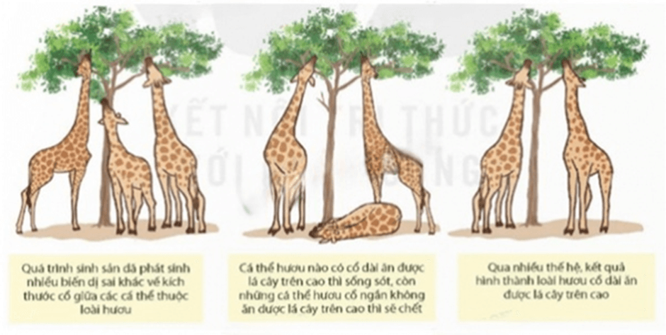 Đề tham khảo Khoa học tự nhiên vào lớp 10 Hà Nội (Đề 1) năm 2025 (có đáp án)
