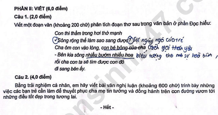 đề thi tuyển sinh Văn vào lớp 10 Đà Nẵng năm 2025