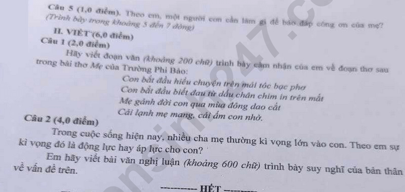đề thi tuyển sinh Văn vào lớp 10 Hà Giang năm 2025