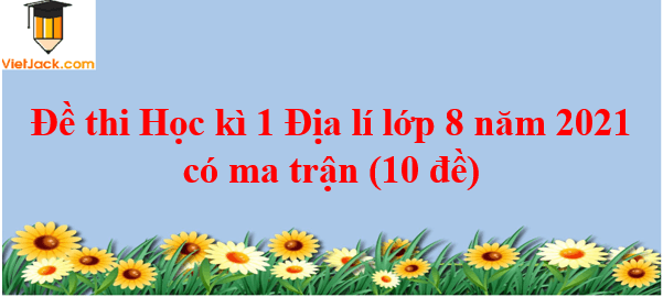 Đề thi Học kì 1 Địa Lí 8 năm 2024 có ma trận (3 đề)