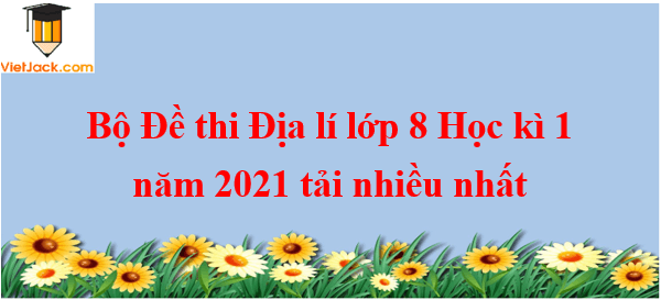 Bộ 3 đề thi Địa Lí 8 Học kì 1 năm 2024 tải nhiều nhất