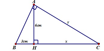 Đề thi giữa kì 1 Toán 9 Trắc nghiệm + Tự luận năm 2024 (7 đề)