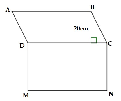 Đề thi Giữa kì 1 Toán 6 có đáp án (15 đề) | Cánh diều