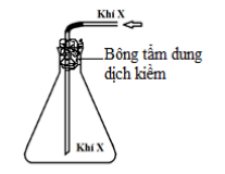 [Năm 2023] Đề thi Giữa kì 2 Hóa học 10 có đáp án (6 đề)