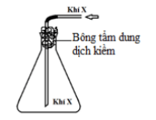 Đề thi Giữa kì 2 Hóa học 10 năm 2024 có ma trận (8 đề)