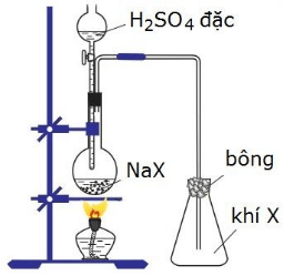 Đề thi Giữa kì 2 Hóa học 10 năm 2024 có ma trận (8 đề)