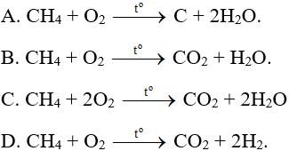 Đề thi Giữa kì 2 Hóa học lớp 8 có đáp án (6 đề)