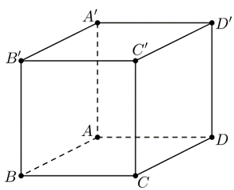 Đề thi Giữa kì 2 Toán 11 có đáp án (6 đề)