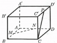 Đề thi Giữa kì 2 Toán 11 có đáp án (6 đề)