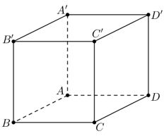 Đề thi Giữa kì 2 Toán 11 có đáp án (6 đề))