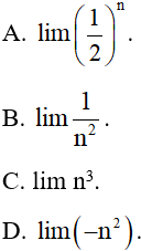 Đề thi Giữa kì 2 Toán 11 có đáp án (6 đề))