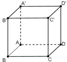 Đề thi Giữa kì 2 Toán 11 có đáp án (6 đề))