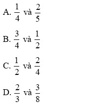 Đề thi Giữa kì 2 Toán 6 có đáp án (10 đề)