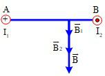 Đề thi Giữa kì 2 Vật Lí 11 có đáp án (8 đề)