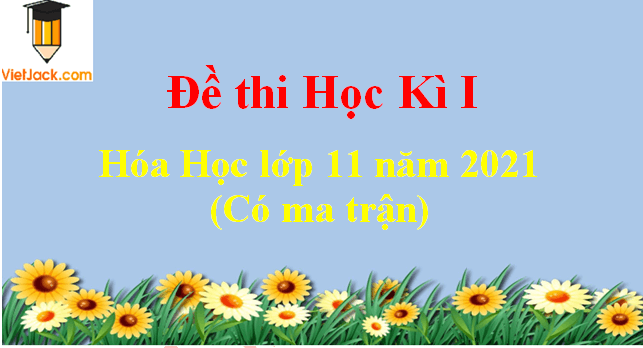 Đề thi Học kì 1 Hóa học 11 năm 2024 có ma trận (8 đề)