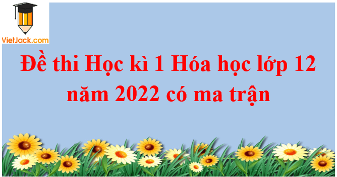 Đề thi Học kì 1 Hóa học 12 năm 2024 có ma trận ( 8 đề)