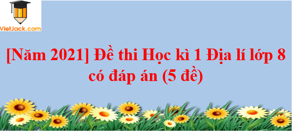 Đề thi Học kì 1 Địa Lí 8 có đáp án (5 đề)