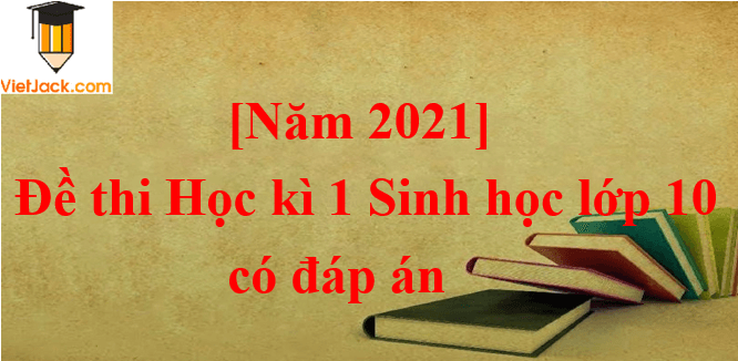 [Năm 2023] Đề thi Học kì 1 Sinh học 10 có đáp án (6 đề)